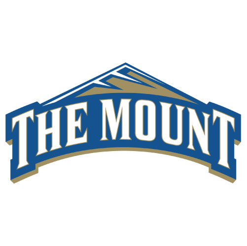 Mount St Marys Mountaineers Iron-on Stickers (Heat Transfers)NO.5212